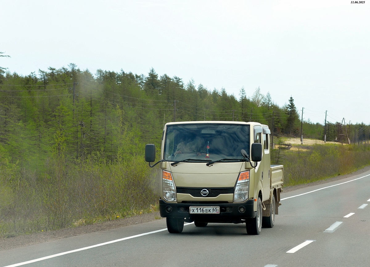 х 116 ек 65, Nissan Atlas 3rd gen Light (F24), 2007–2021