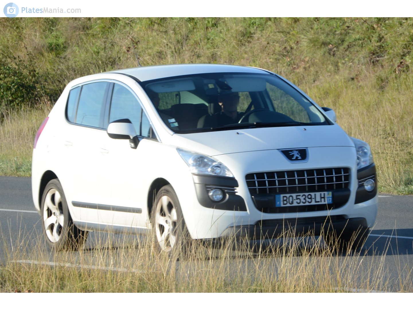 BQ-539-LH, Peugeot 3008 1st gen (T84; Global-market), 2009–2013