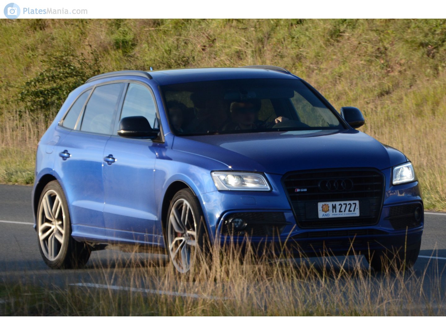 M 2727, Audi SQ5 1st gen (8RB), 2012–2017