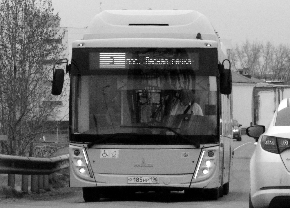 р 185 нр 198, MAZ 203 1st gen, facelift, 2022–