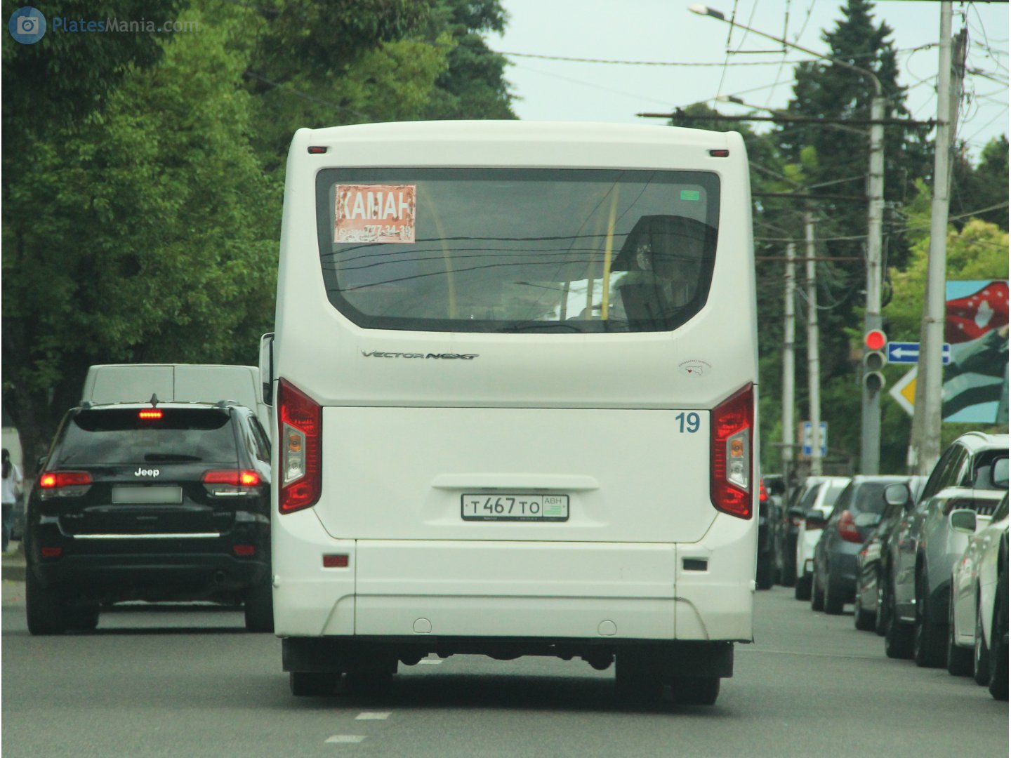 т 467 то, PAZ 3203/3204 3204 Vector Next, 2016–