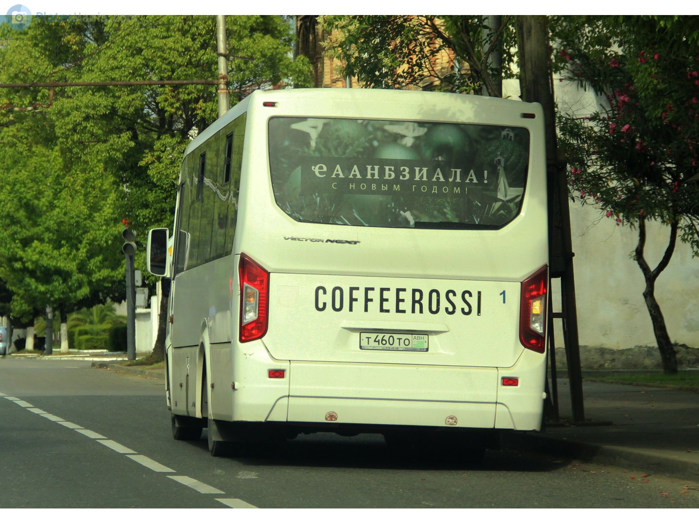 т 460 то, PAZ 3203/3204 3204 Vector Next, 2016–