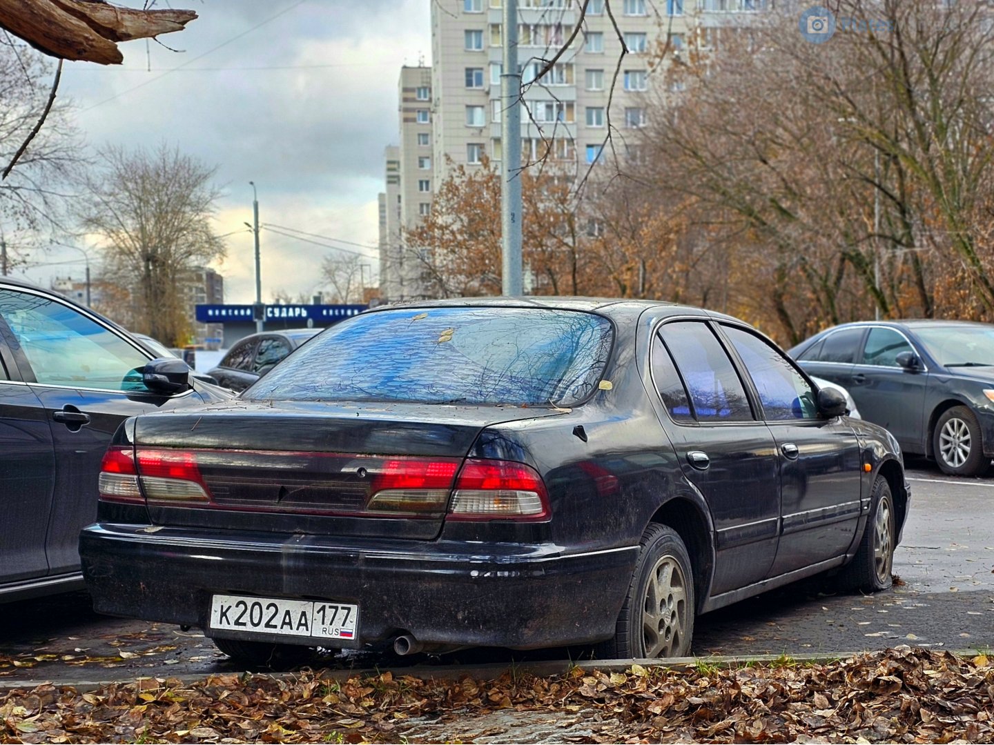 к 202 аа 177, Nissan Maxima 3rd gen (QX) (A32; Global-market), 1994–2000
