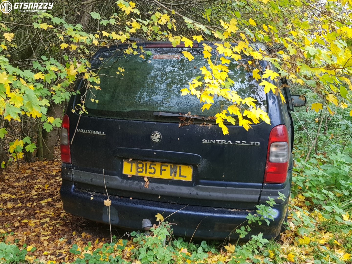 T815FWL, Vauxhall Sintra 1st gen (APV), 1997–1999