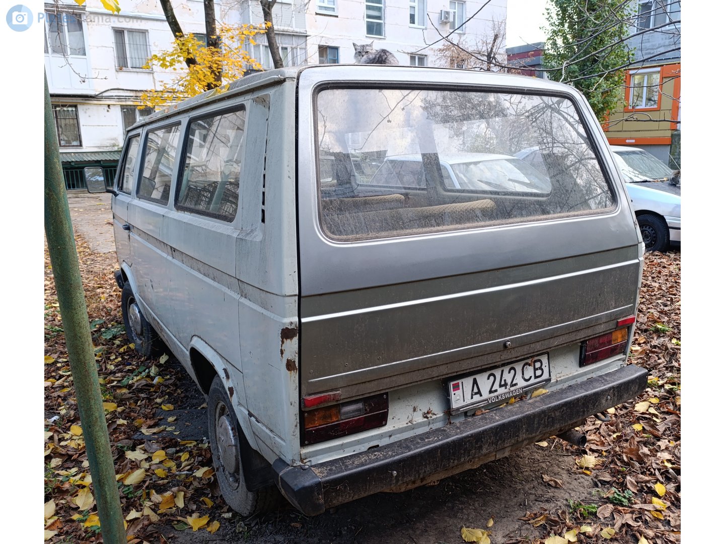 A 242 CB, Volkswagen Transporter 3rd gen Van (T3), 1979–1992