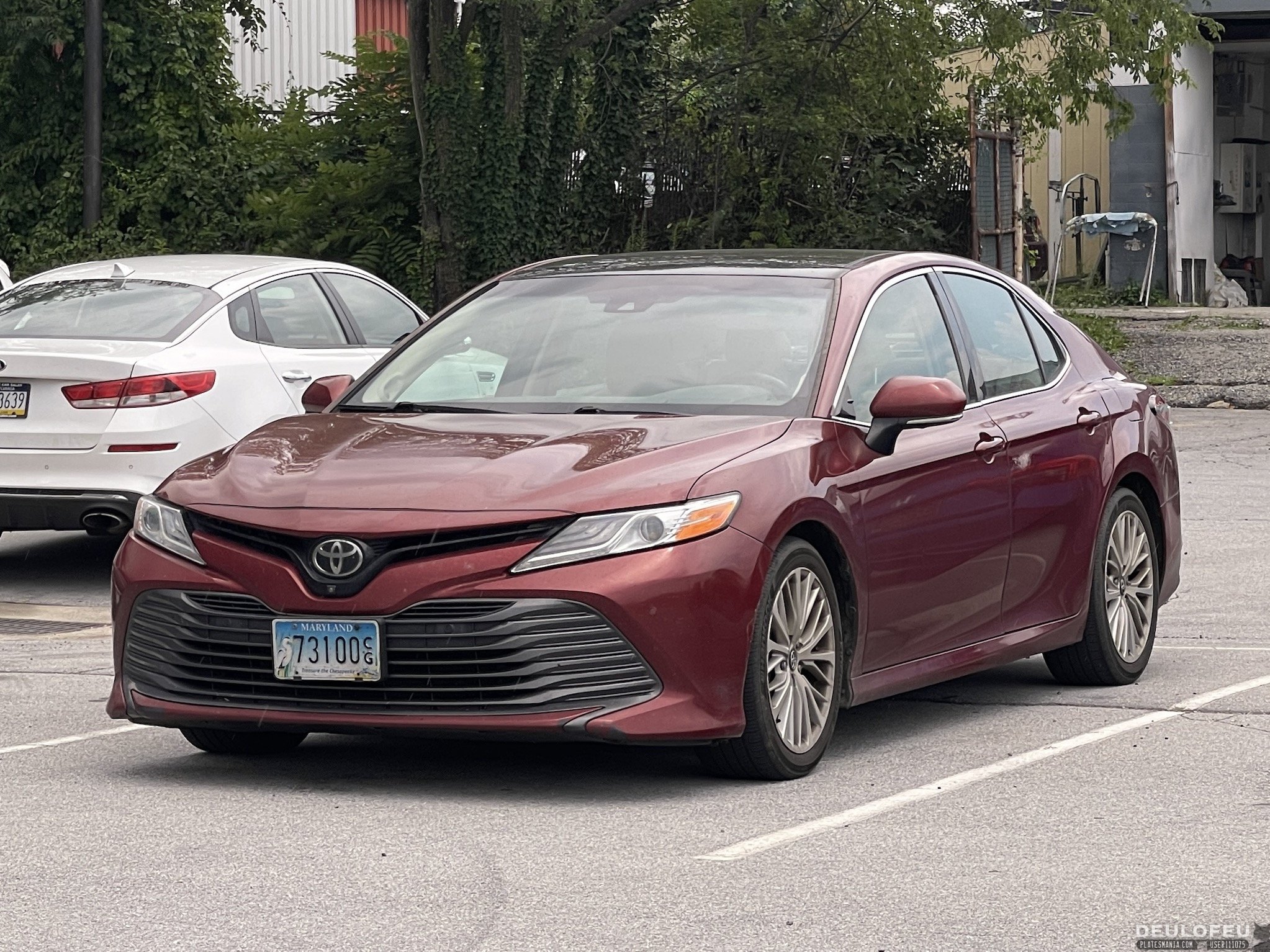 73100CG, Toyota Camry 8th gen (XV70), 2017–