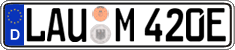 German license plate, Electric vehicles