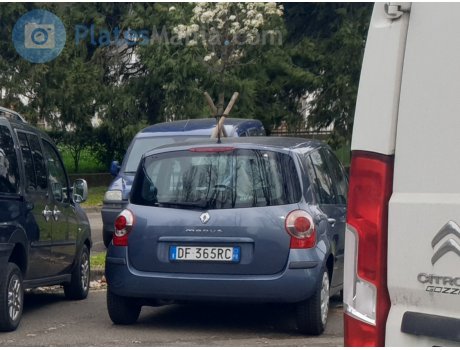 DF 365 RC, Renault Modus