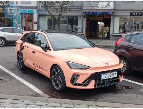 FZ 0209W, Cupra León