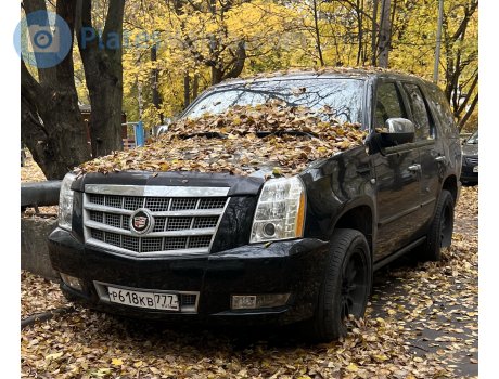 р618кв777, Cadillac Escalade