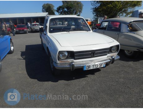 DR-173-SF, Peugeot 504