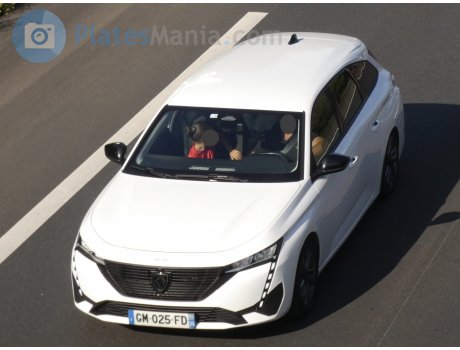 GM-025-FD, Peugeot 308