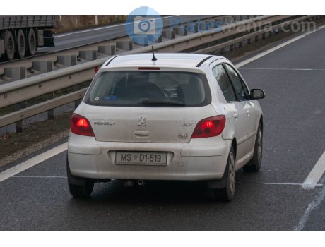 MS D1-519, Peugeot 307