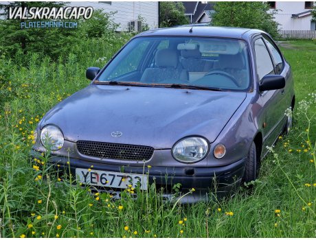 YE 67733, Toyota Corolla