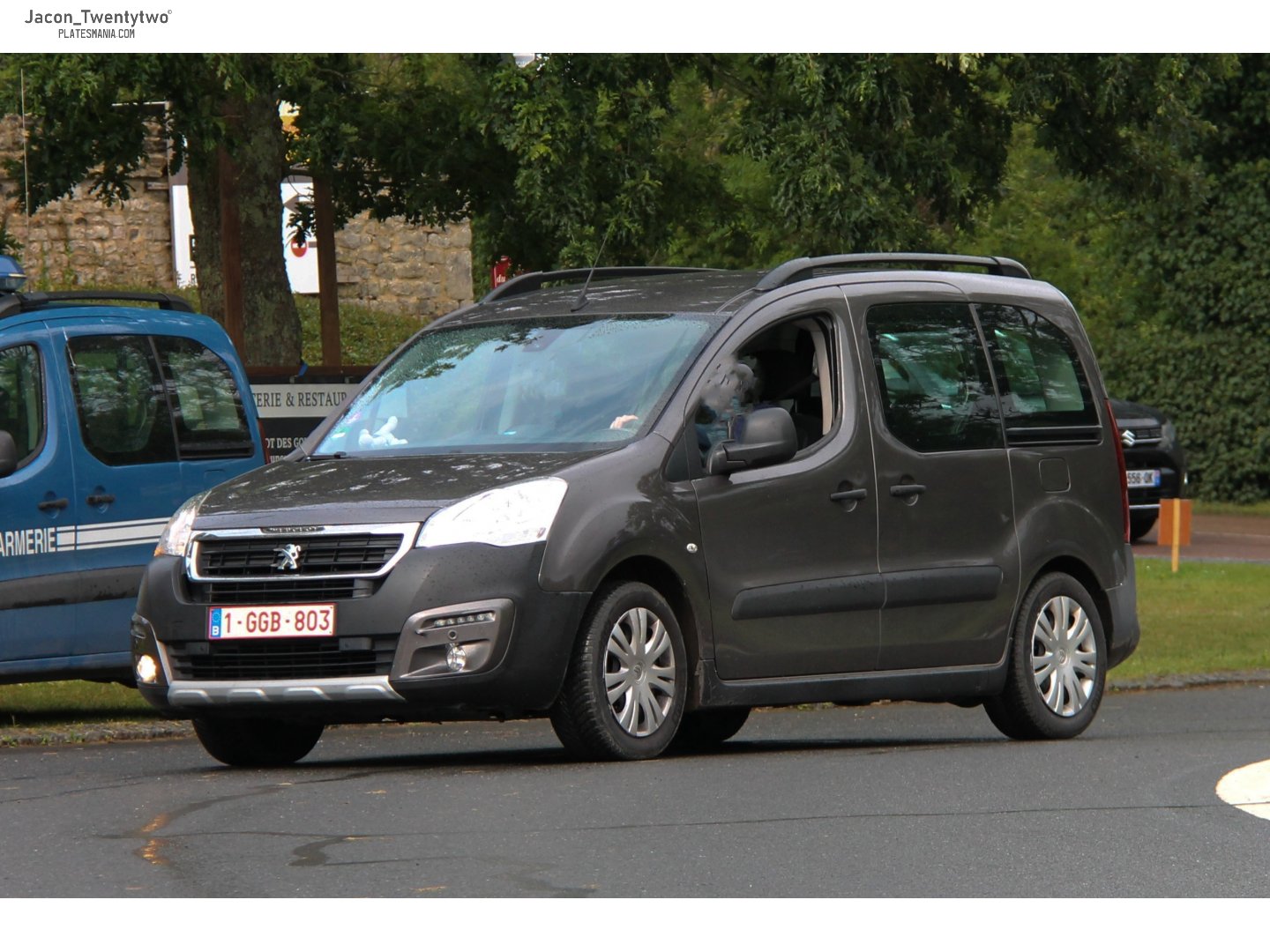 1-GGB-803, Peugeot Partner 2nd gen Tepee (B9), 2008–2018 (–2022 for CIS-market)