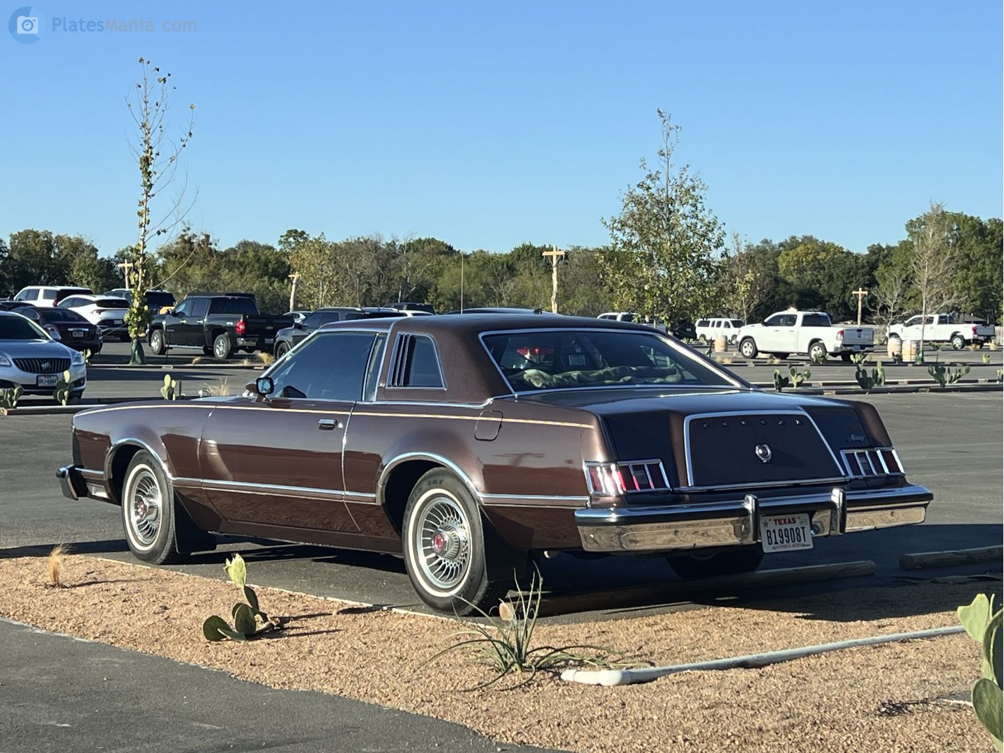 B19908T, Mercury Cougar 4th gen 2-door Coupé (65D/65L), 1976–1979