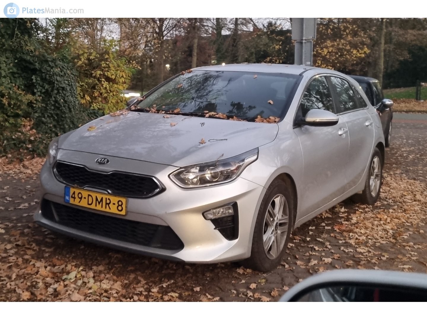 49-DMR-8, Kia Ceed 3rd gen Hatch (CD), 2018–2021