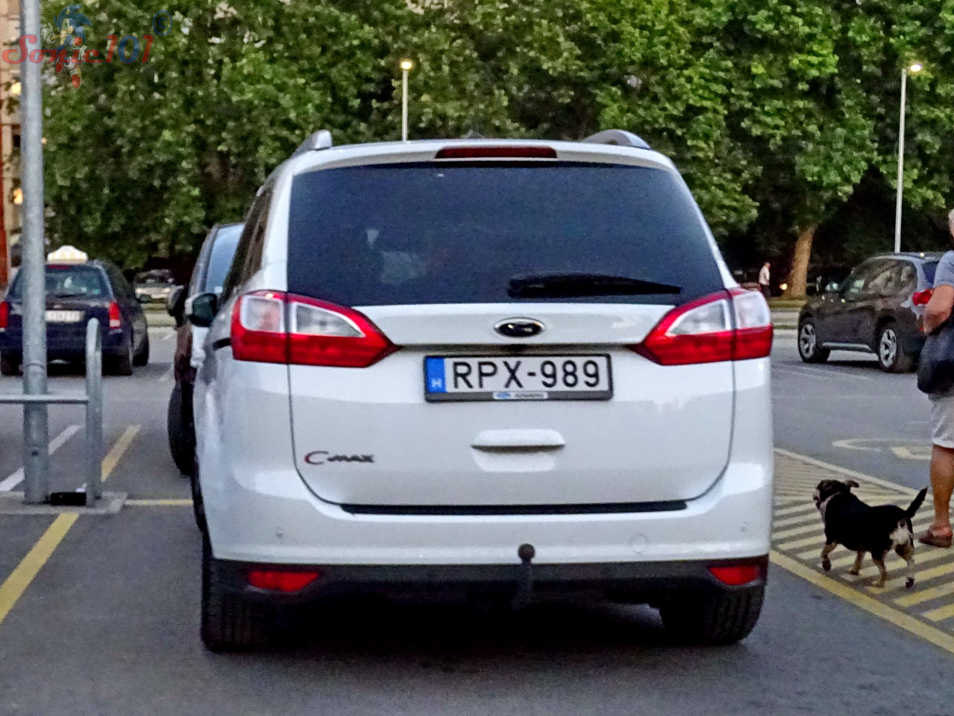 RPX-989, Ford Grand C-Max 1st gen (C344; DXA), 2010–2019