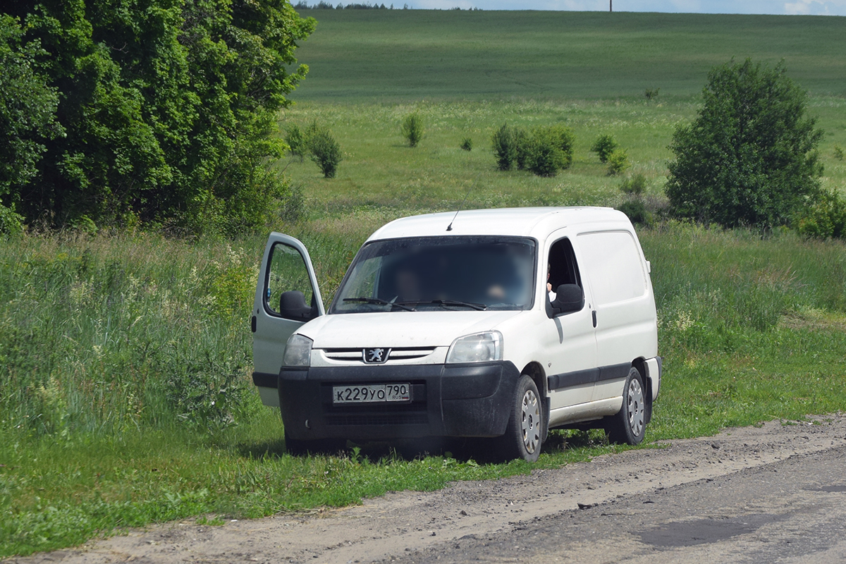 к 229 уо 790, Peugeot Partner 1st gen (Origin) (M49), facelift, 2002–2013 (–present for LATAM-market)
