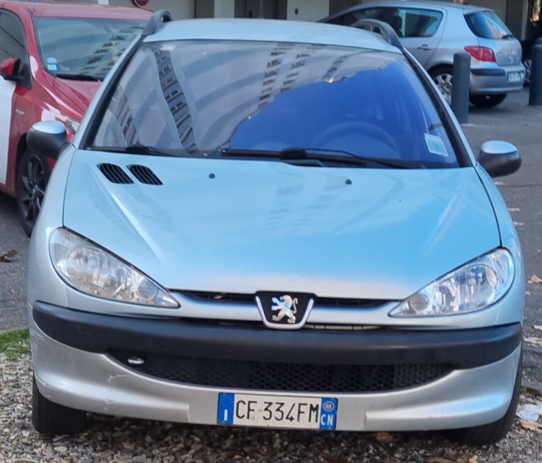 CF 334 FM, Peugeot 206 