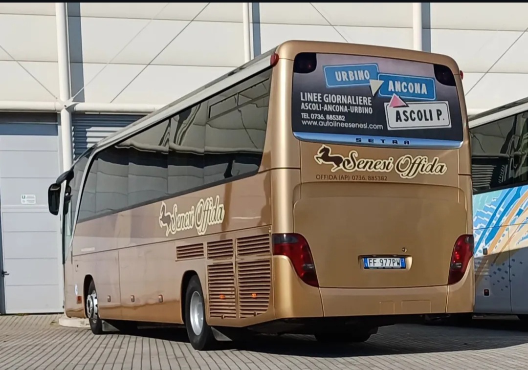 FF 977 PW, Setra 400-Series 1st gen Single-Decker (S407/S411–S419), 2001–