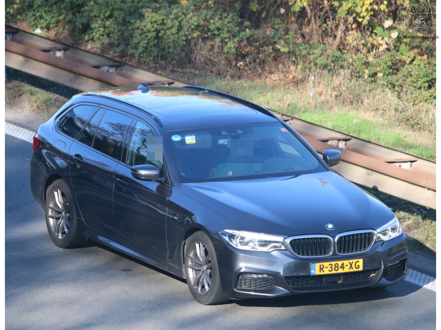 R-384-XG, BMW 5 Series 7th gen Touring (G31), 2017–2020