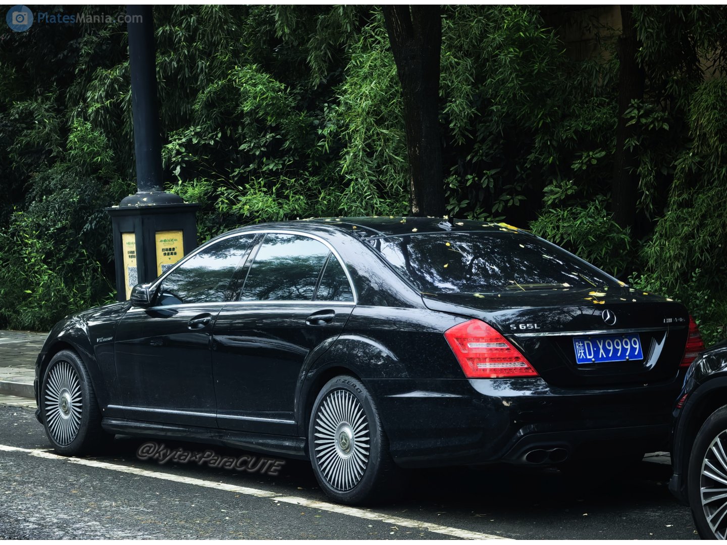 陕D·X9999, Mercedes-Benz S-Klasse 7th gen (W221/V221), 2005–2013