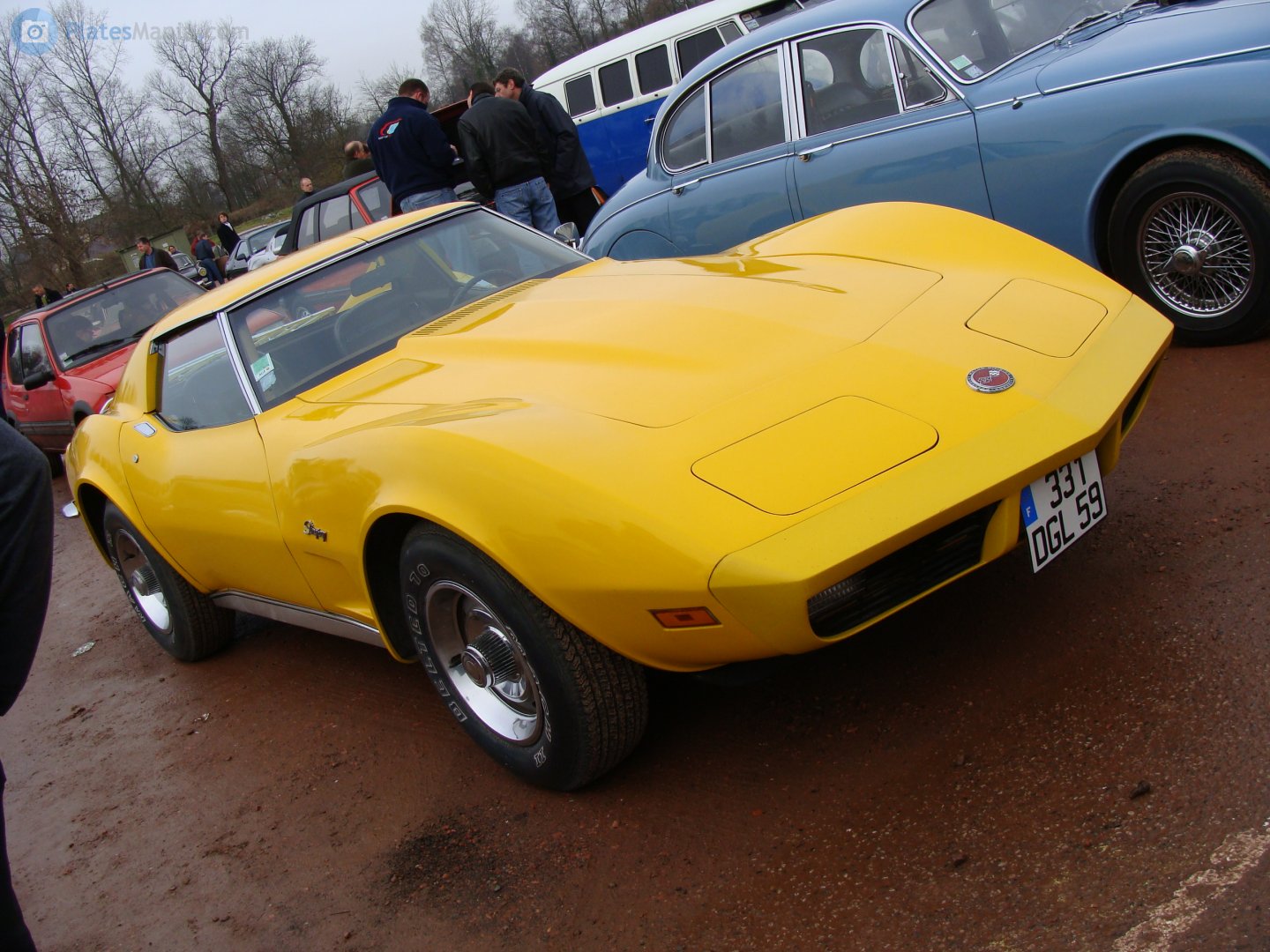 331 DGL 59, Chevrolet Corvette 3rd gen Coupé (C3; 37), 1st facelift, 1973–1977