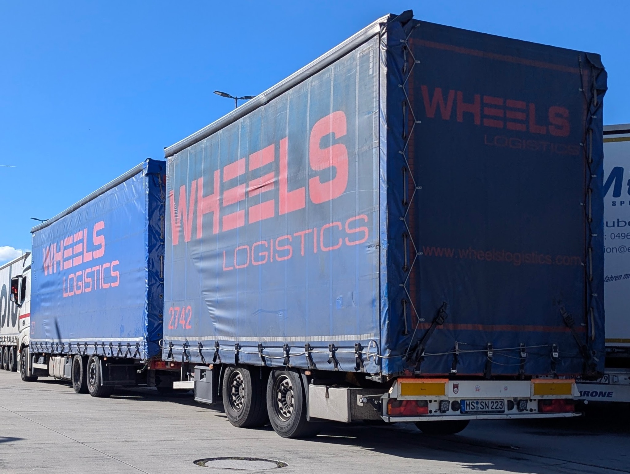 MS SN 223, Regular plates 