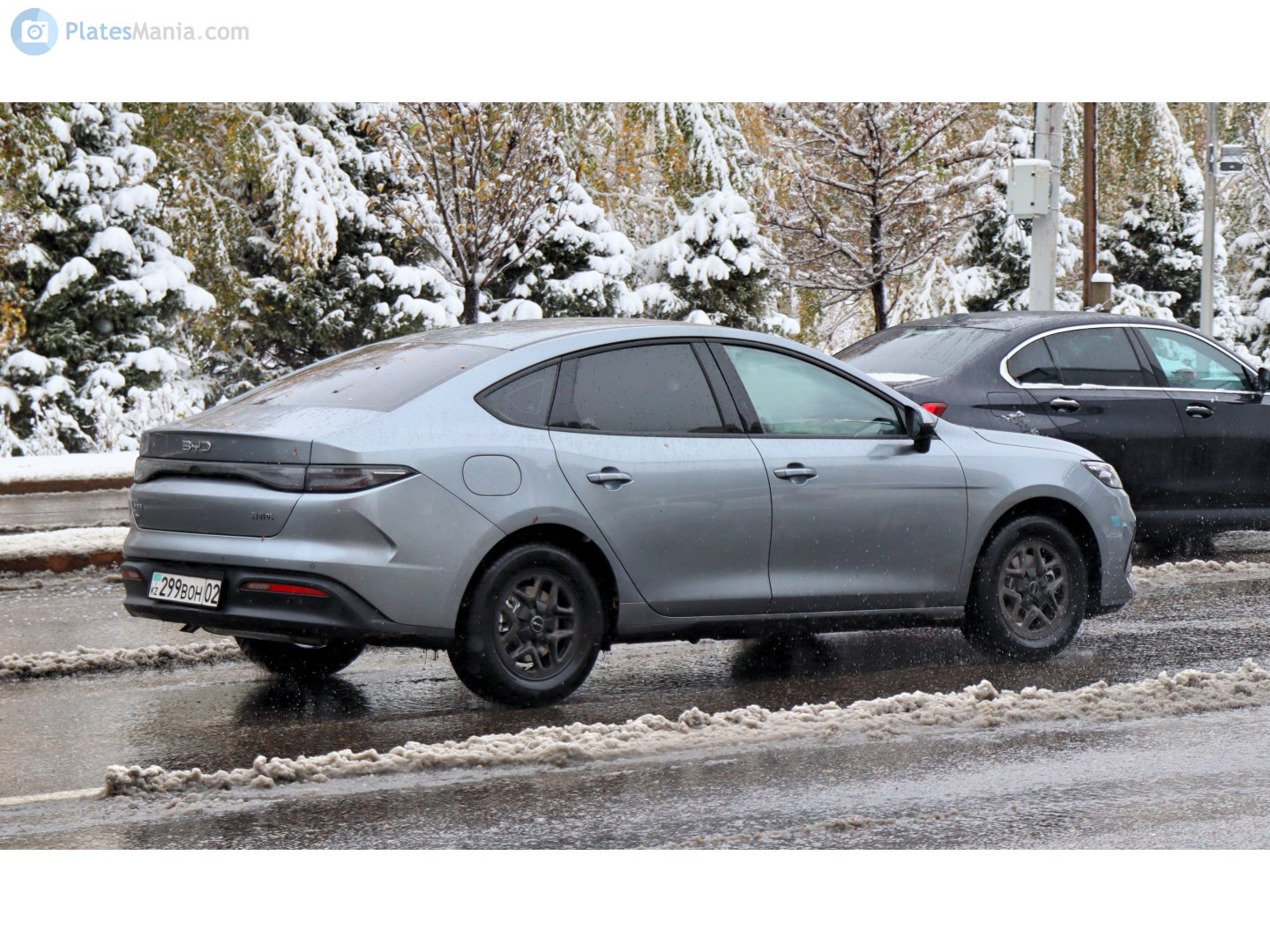 299 BOH 02, BYD Chazor 1st gen (UZ-market), 2023–