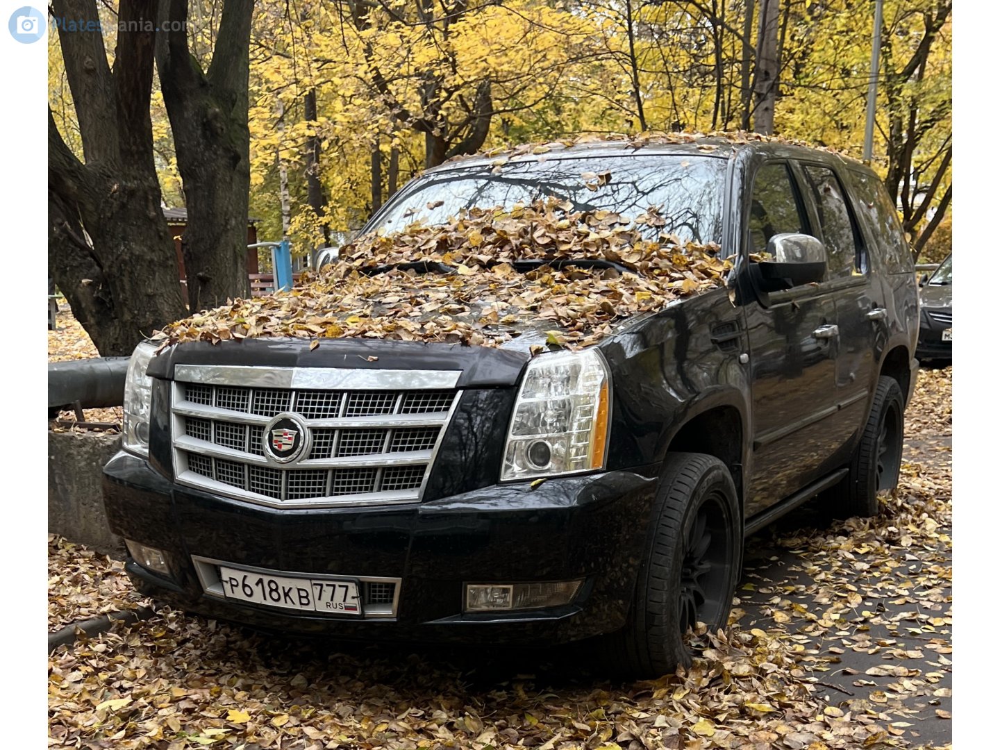 р 618 кв 777, Cadillac Escalade 