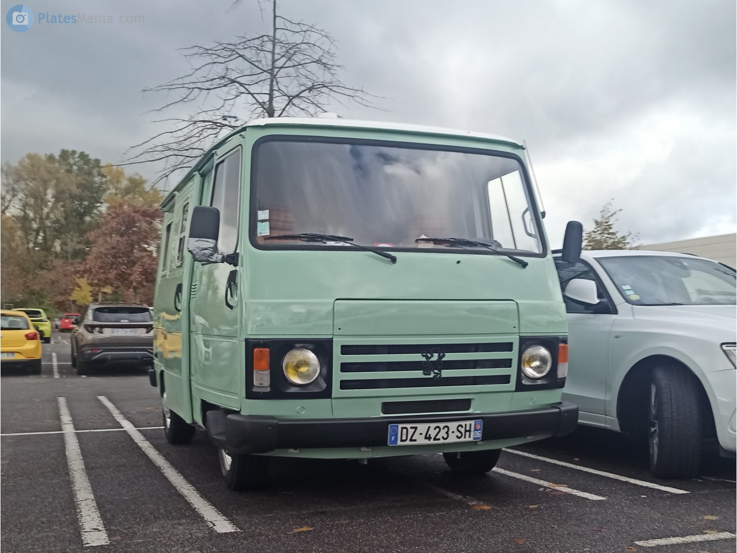 DZ-423-SH, Peugeot J9 1st gen, 1980–1991