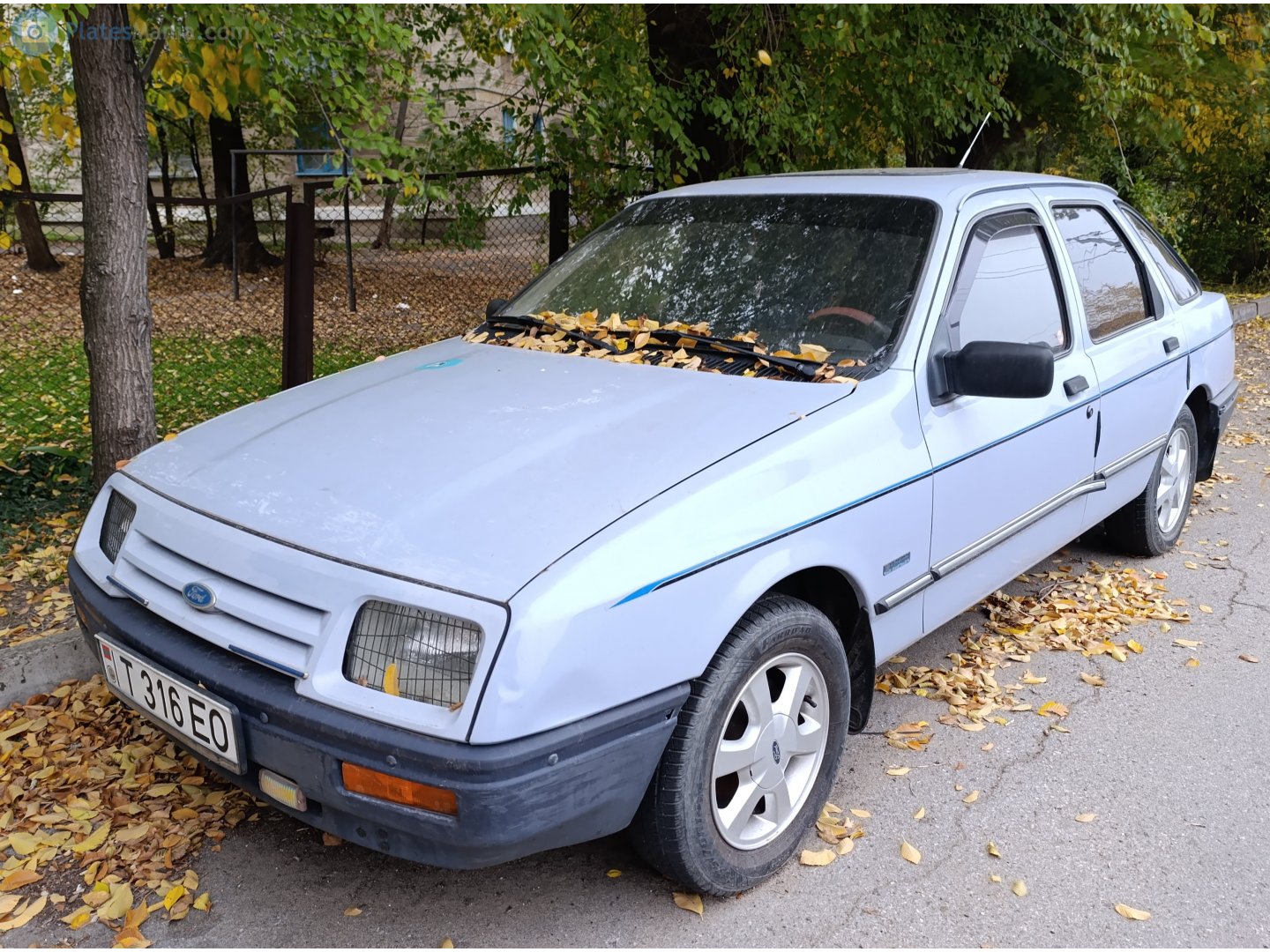 T 316 EO, Ford Sierra 1st gen 5-door Liftback (BAC), 1982–1987