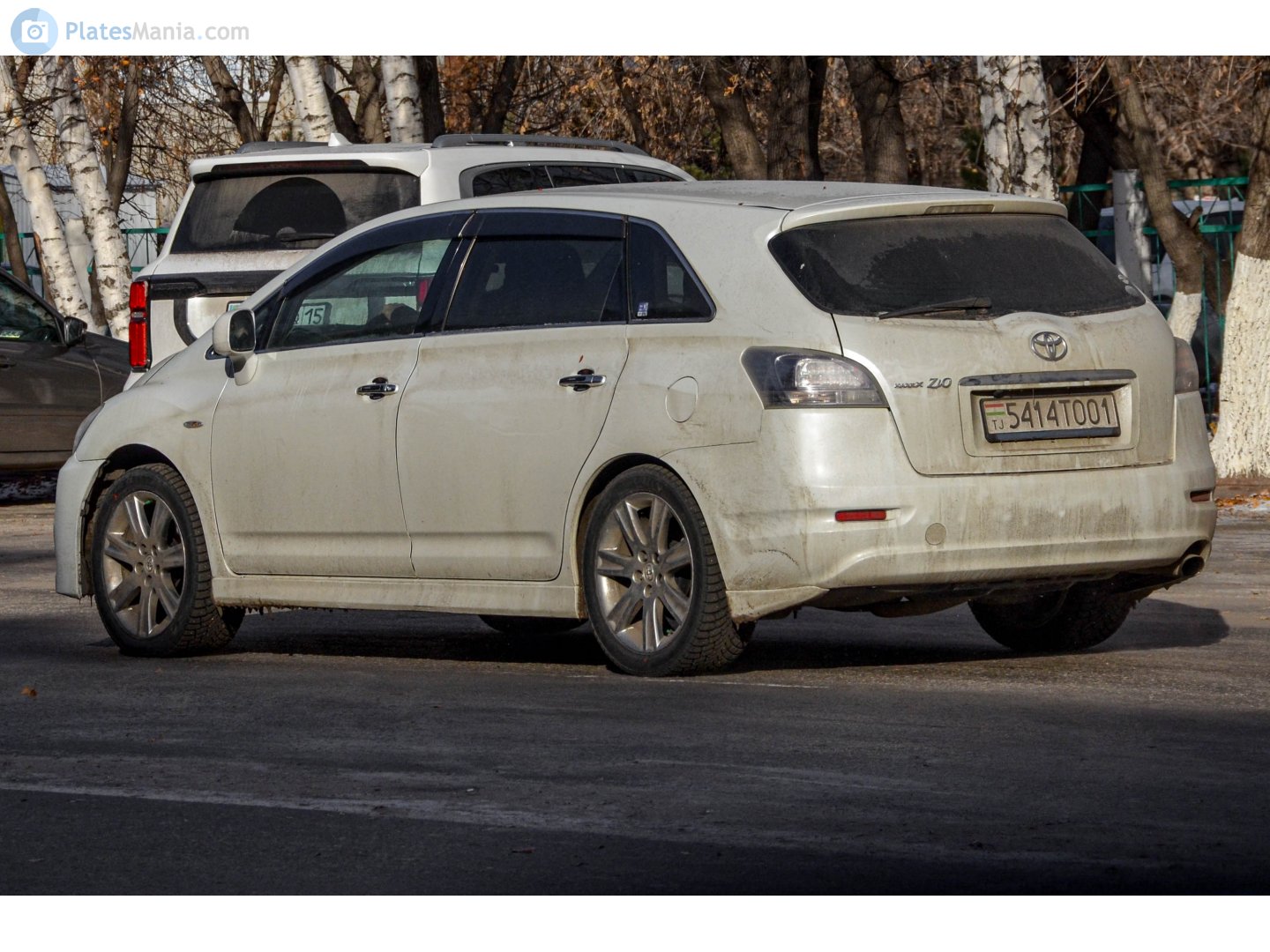 5414TO01, Toyota Mark X 1st gen ZiO Wagon (ANA10), 2007–2013
