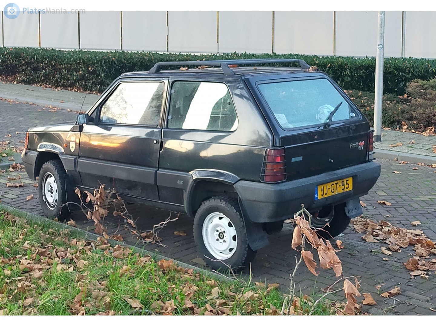 JJ-GT-55, FIAT Panda 1st gen (141/153), 1980–1986