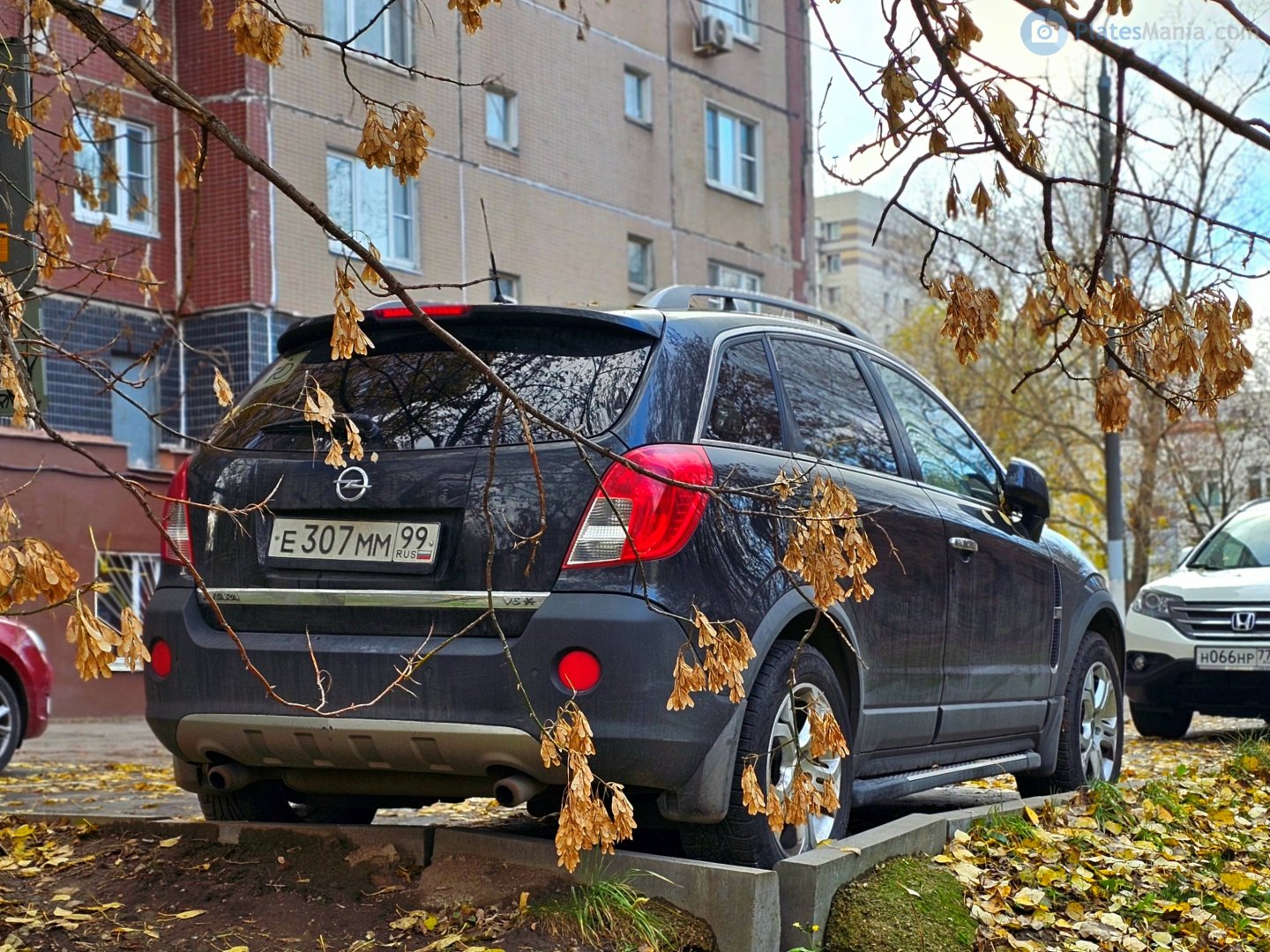 е 307 мм 99, Opel Antara 1st gen (N07), facelift, 2010–2015