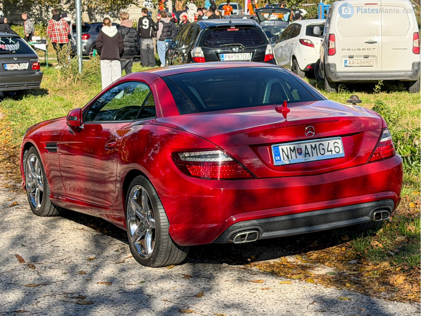 NM-AMG46, Mercedes-Benz SLK-Klasse 3rd gen (R172), 2011–2015