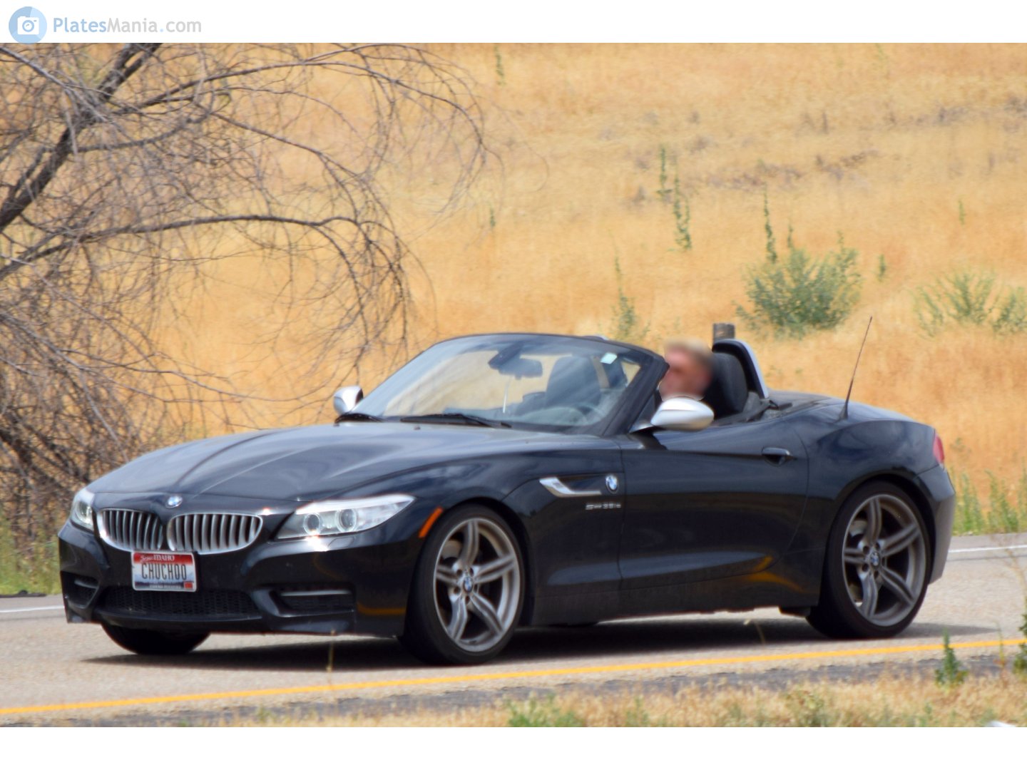 CHUCH00, BMW Z4 2nd gen (E89), 2009–2016
