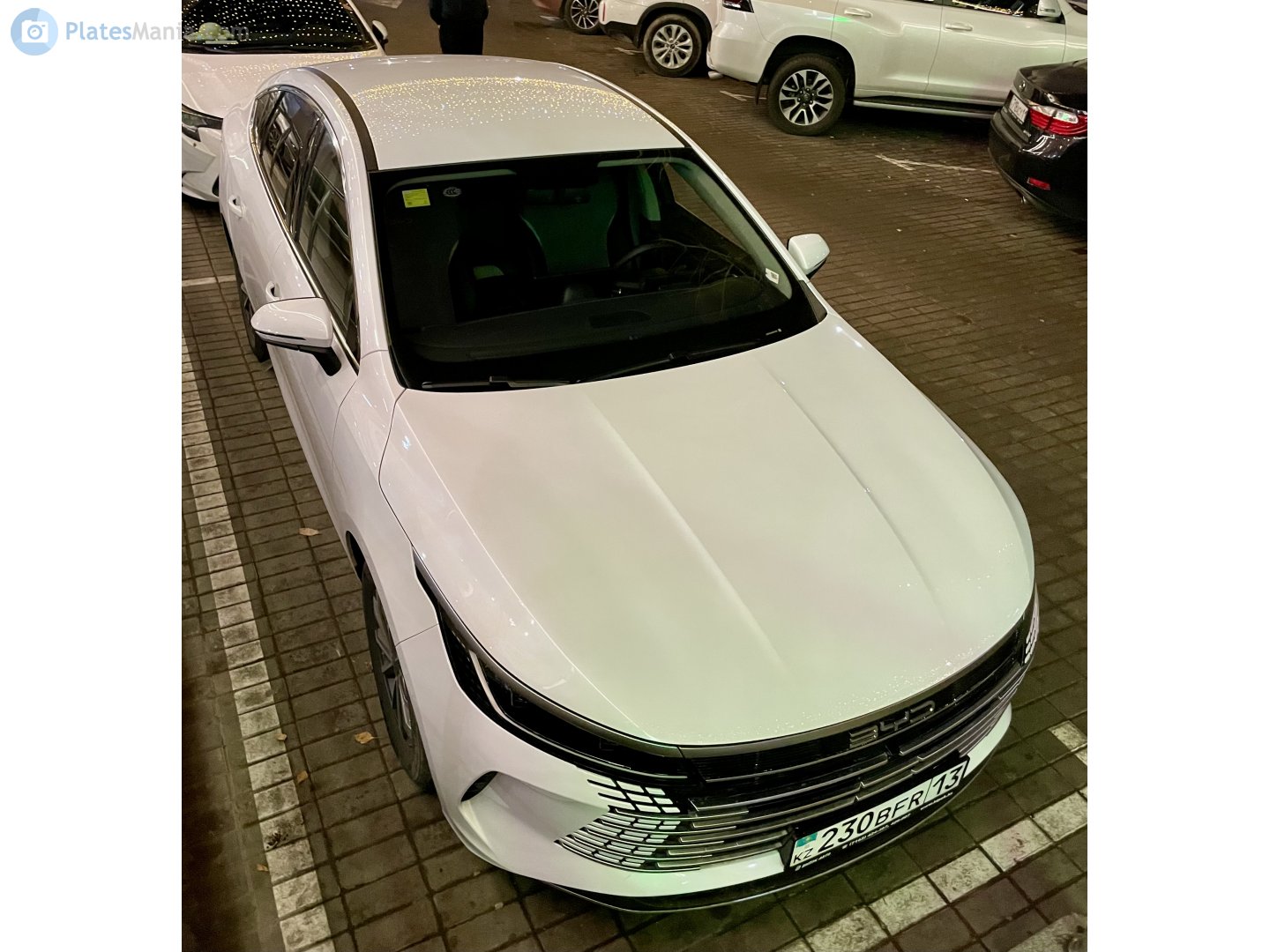 230 BFR 13, BYD Quzhujian 05 1st gen, 2022–