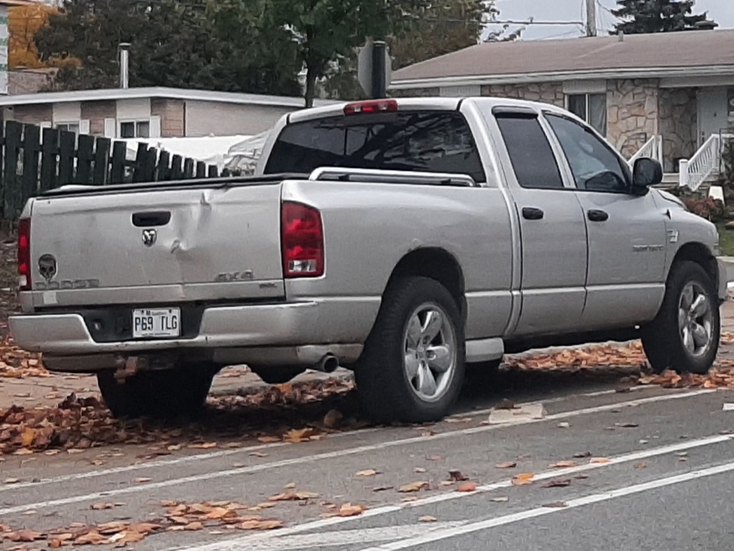 P69 TLG, Dodge Ram 3rd gen (DR/DH/D1/DC/DM), 2001–2009