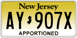 New Jersey, Specialty plates (XX-XXXX)