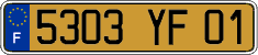 French license plate, FNI