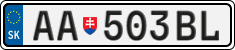 AA 503BL