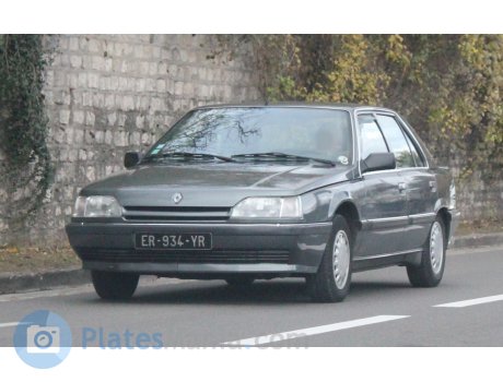 ER-934-YR, Renault 25