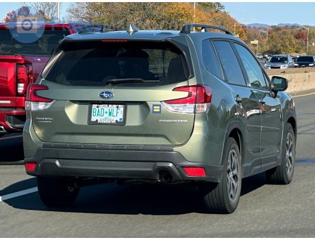 BAD+WLF, Subaru Forester