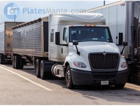 259566, International LT Series