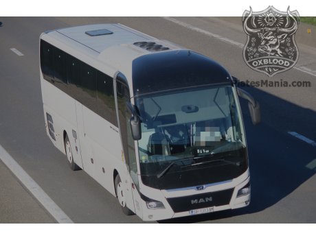 SB 1313-AM, MAN Lion