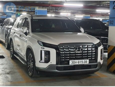 30H-815.08, Hyundai Palisade