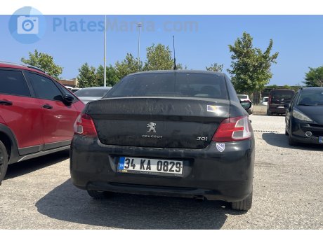 34 KA 0829, Peugeot 301