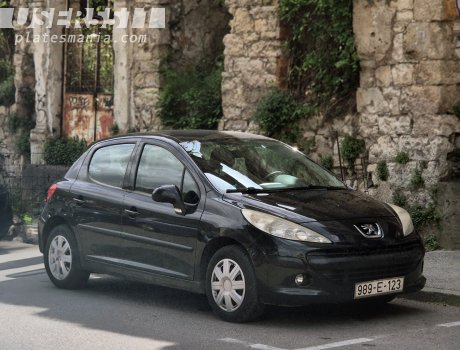 988-E-123, Peugeot 207